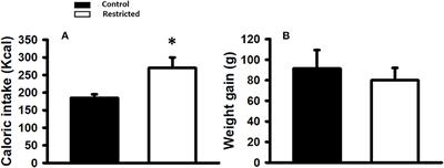 A low-protein maternal diet during gestation affects the expression of key pancreatic β-cell genes and the methylation status of the regulatory region of the MafA gene in the offspring of Wistar rats